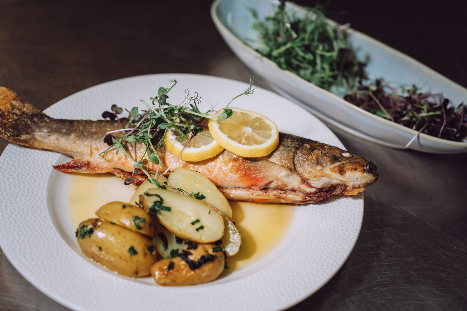 75 - DSC02480-Bearbeitet